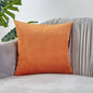 Pillow Cover Velvet Pillow Case 40x40cm For Living Room Sofa