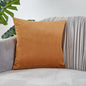 Pillow Cover Velvet Pillow Case 40x40cm For Living Room Sofa