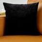 Pillow Cover Velvet Pillow Case 40x40cm For Living Room Sofa